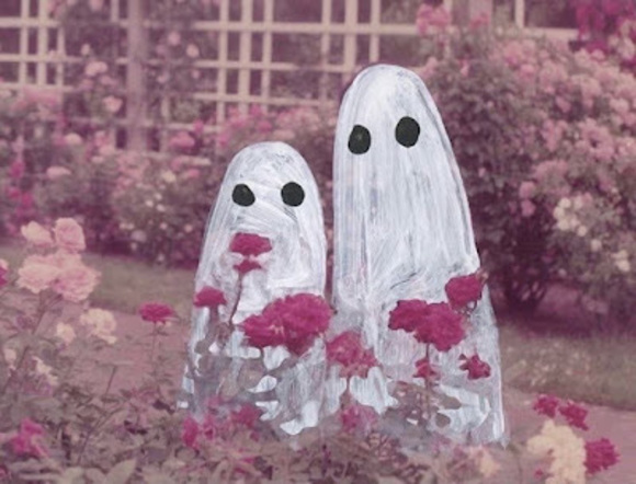 Meet your Posher, Draccøn - Picture 1 of 1